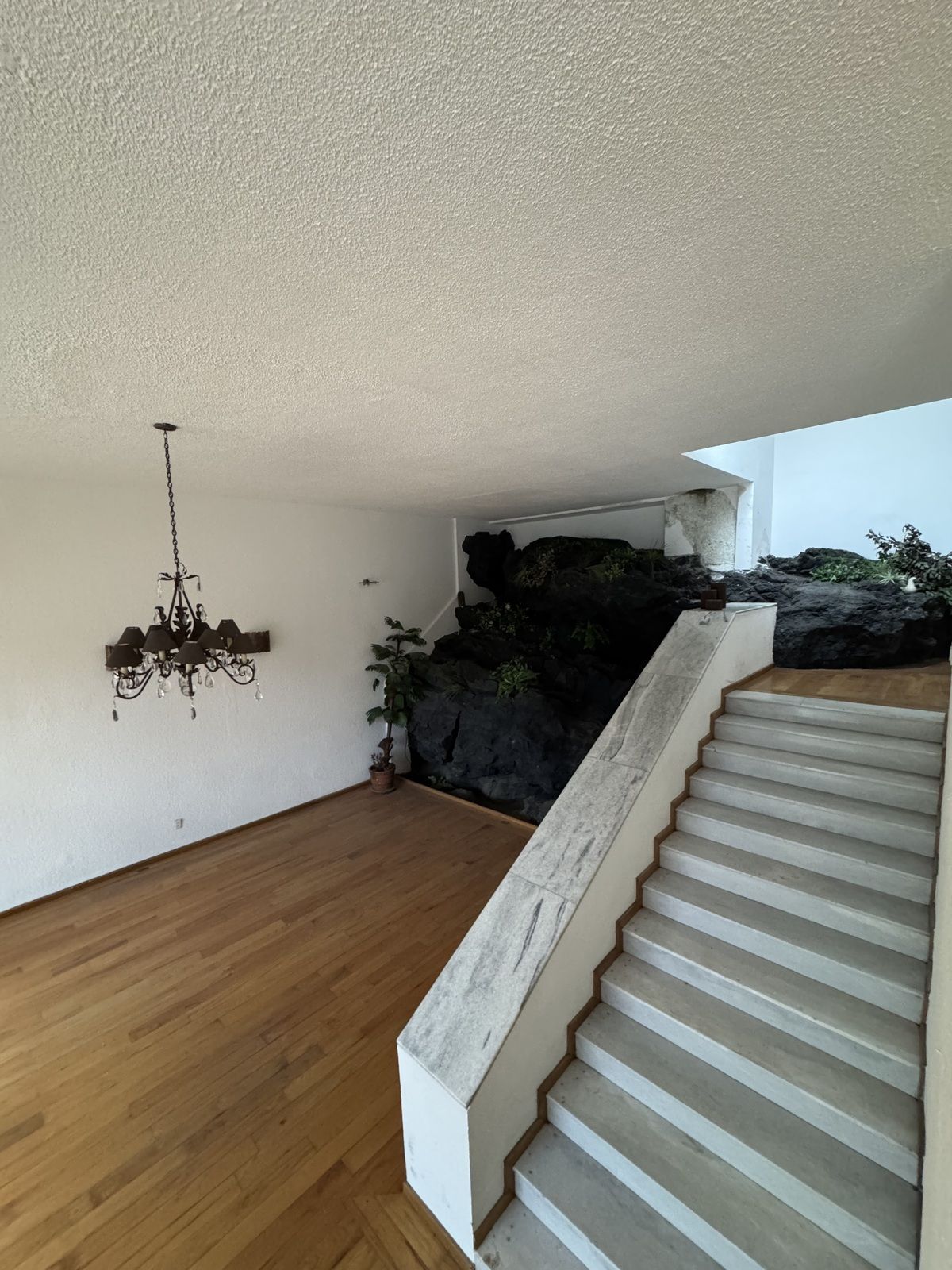 509, Calle Peñas, Jardines del Pedregal, 01900 509, Calle Peñas, Jardines del Pedregal, 01900
